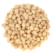 boostbalm_phytosan-min